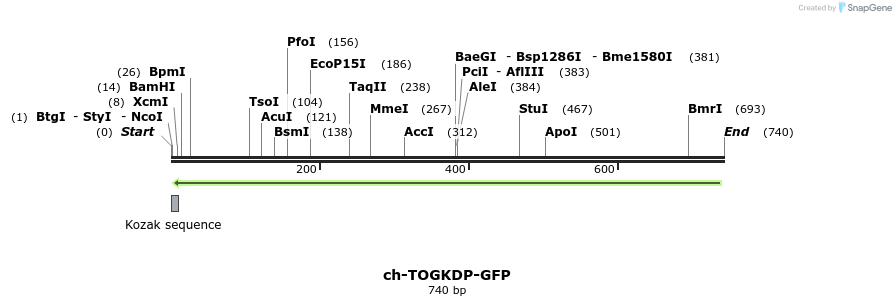 126560_map