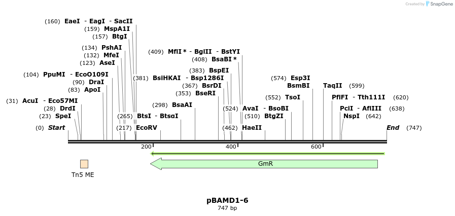 126563_map