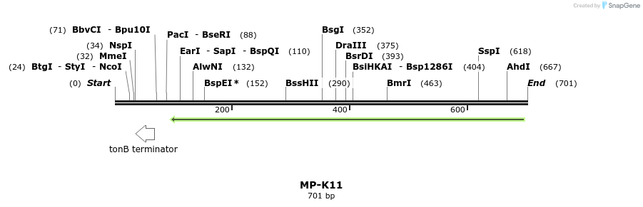 126564_map