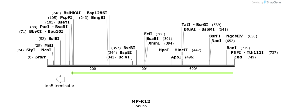 126566_map