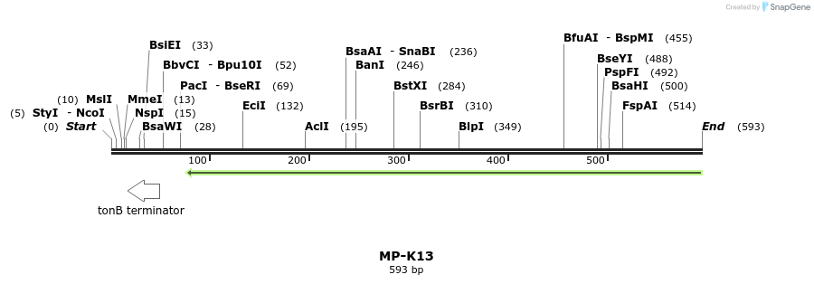 126568_map