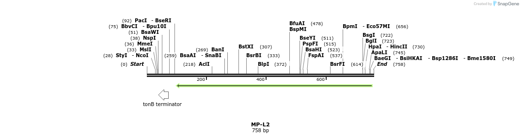 126569_map