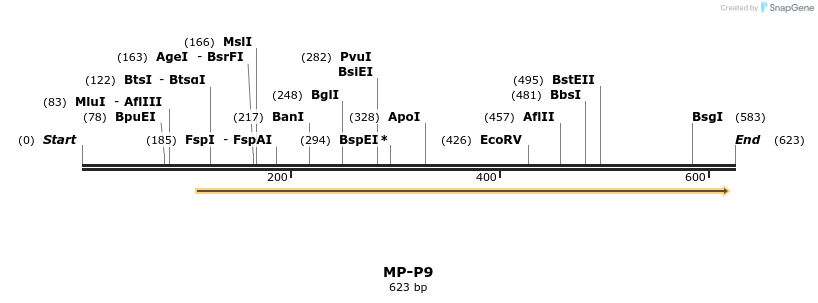 126579_map