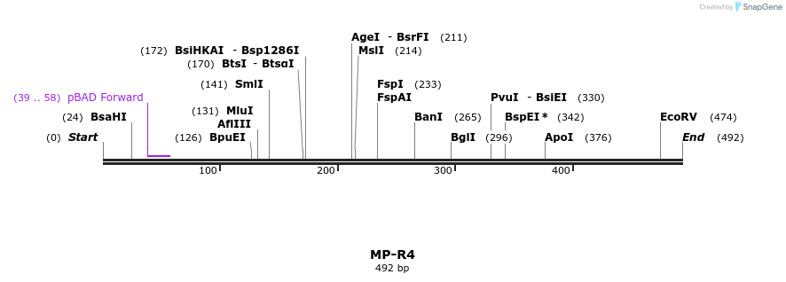 126580_map