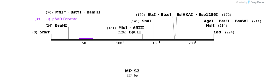 126582_map