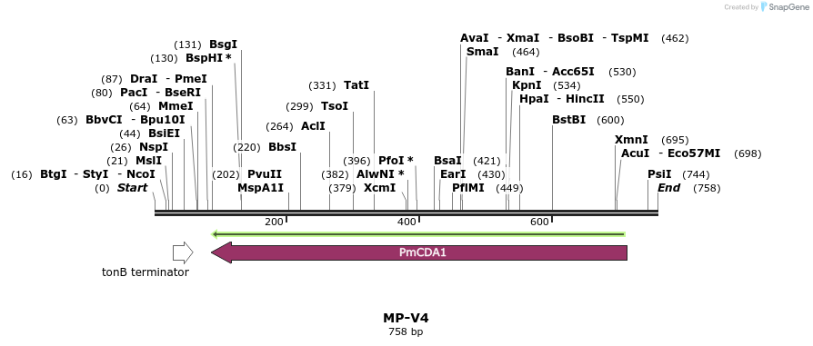 126584_map
