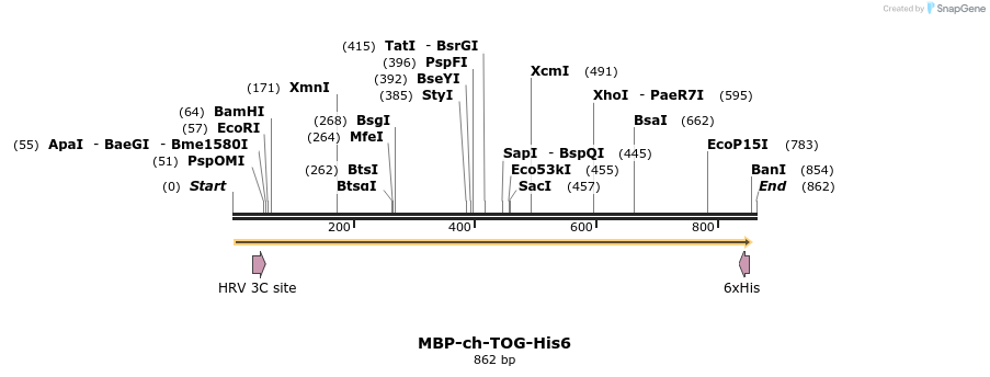 126595_map