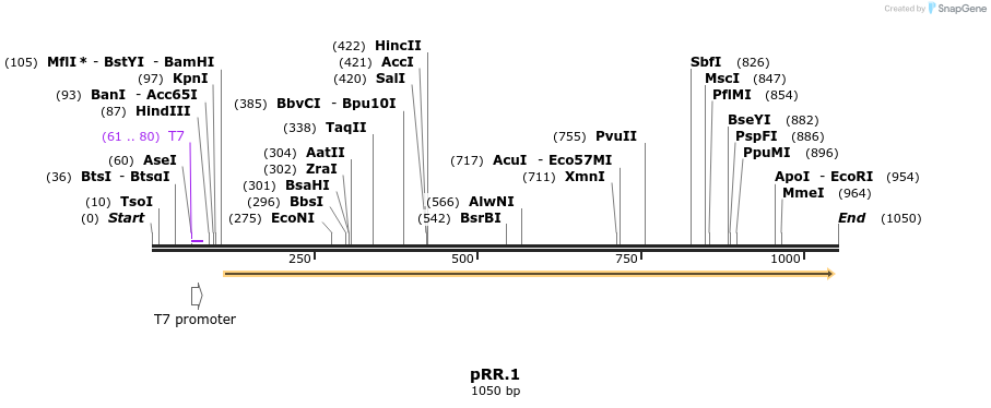 126596_map