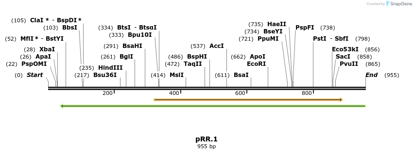 126598_map