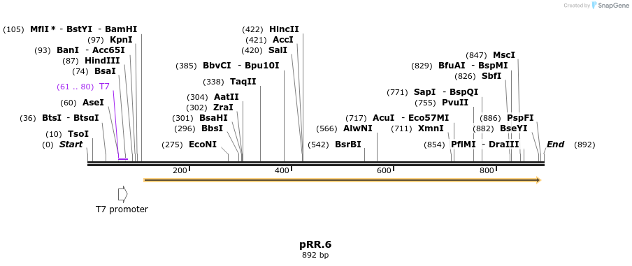 126600_map