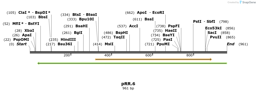 126602_map