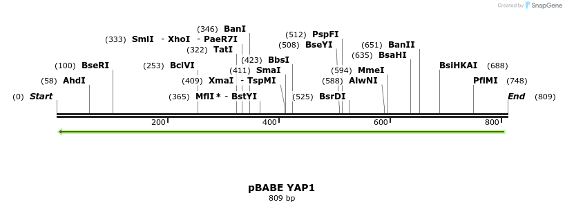 126624_map