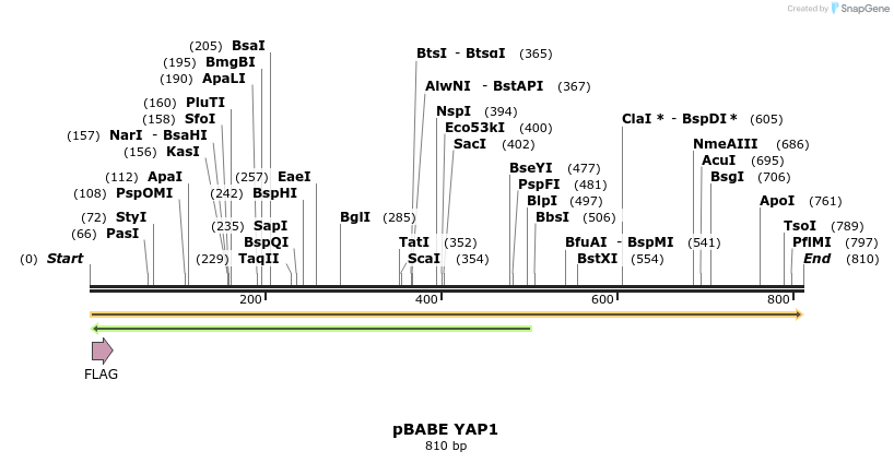 126625_map