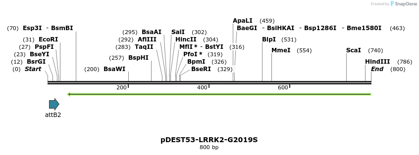 126634_map