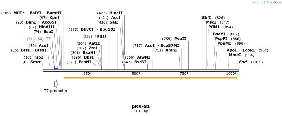 126646_map