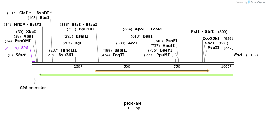 126653_map