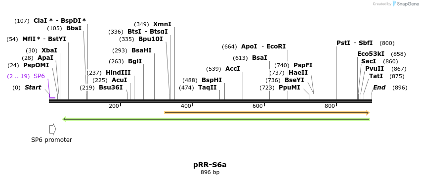 126659_map