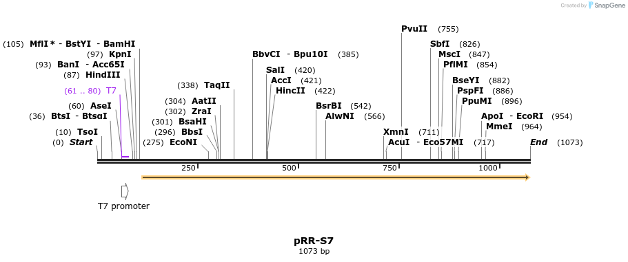 126661_map