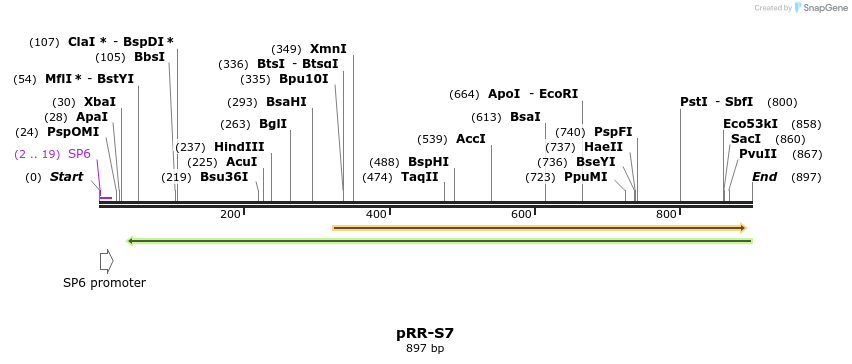126662_map