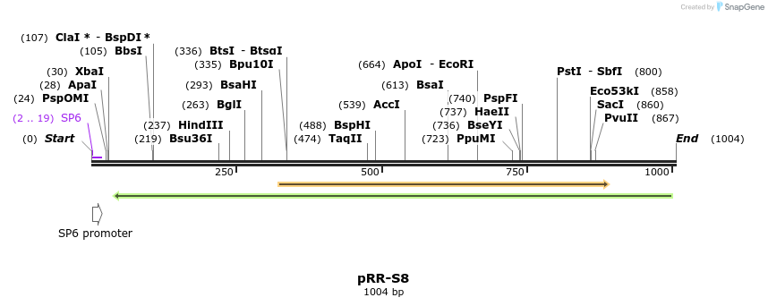 126665_map