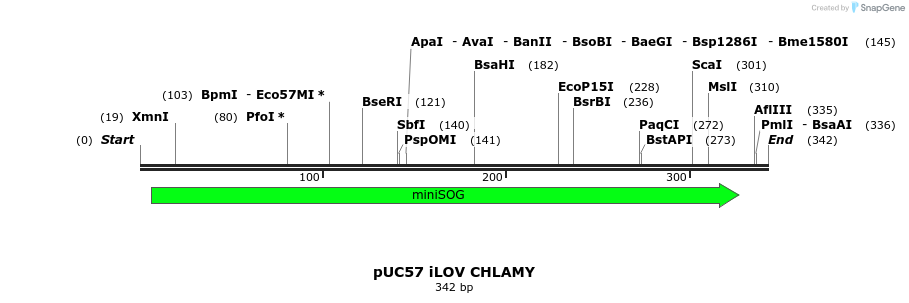 12667_map