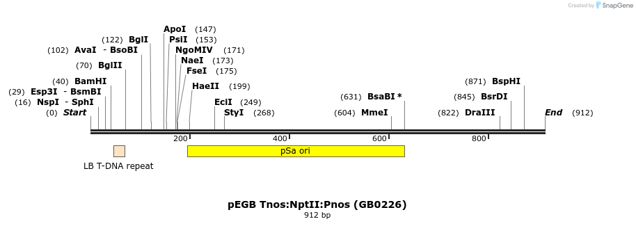 126674_map