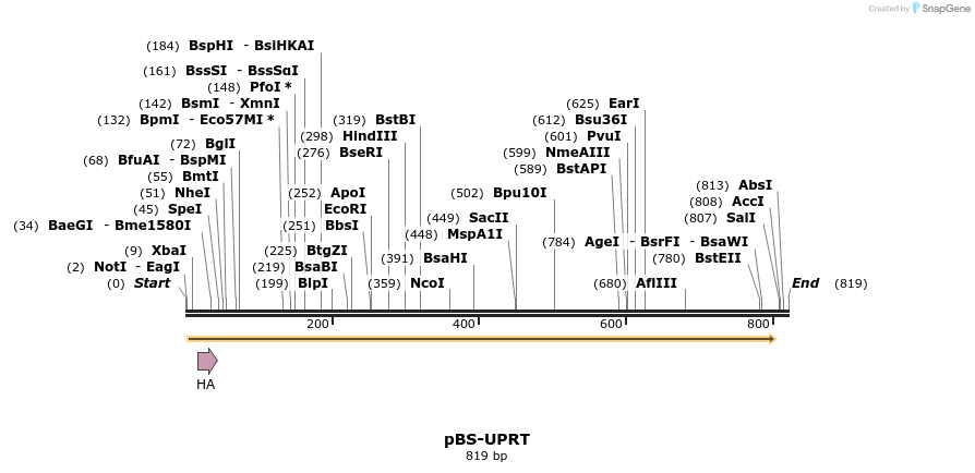 126683_map