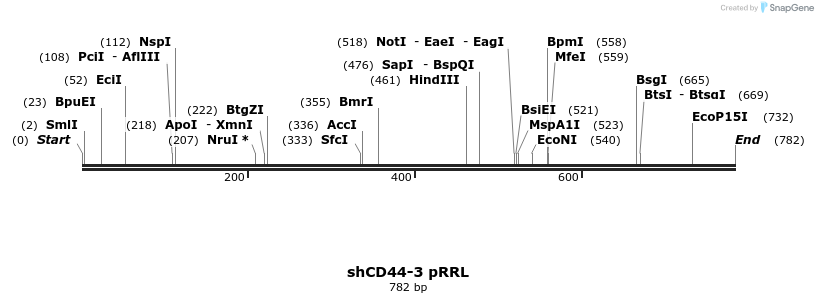 126686_map