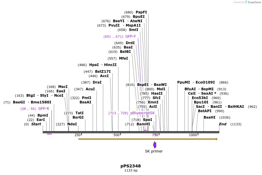 126692_map