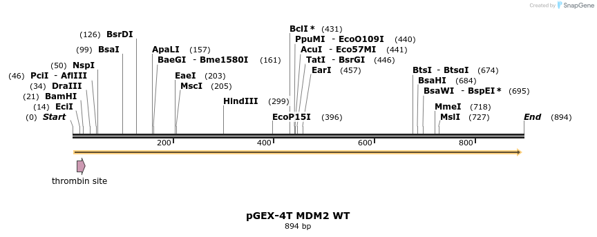 126700_map
