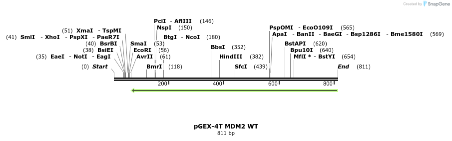 126701_map