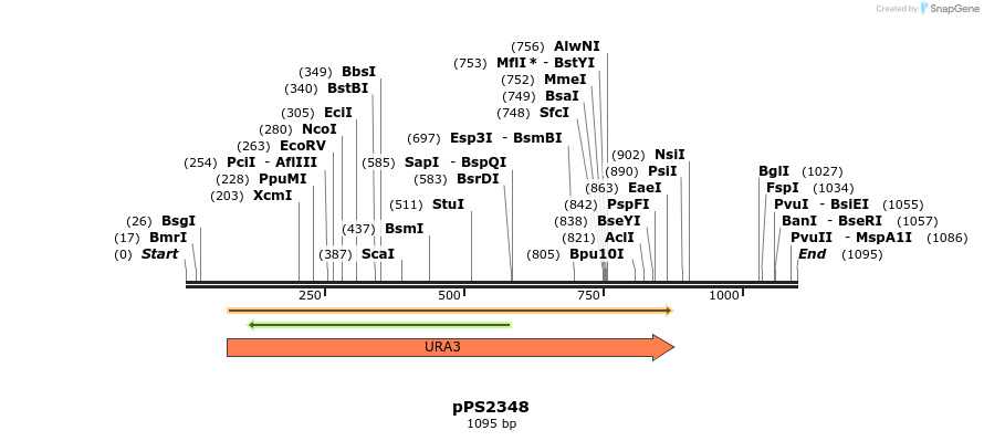 126702_map