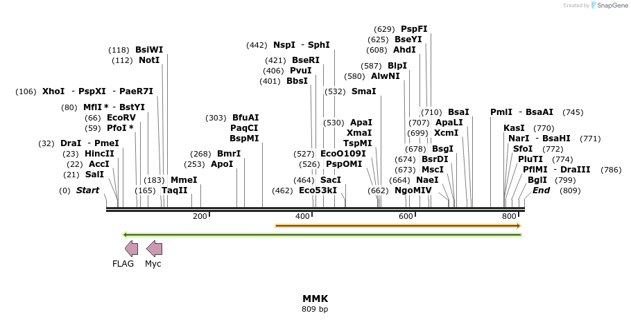 126704_map