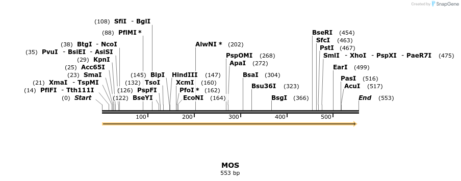 126712_map