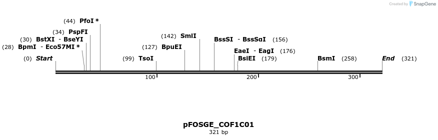 126717_map
