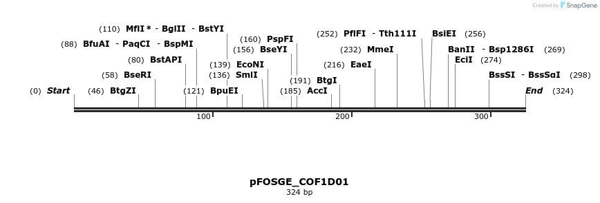 126718_map
