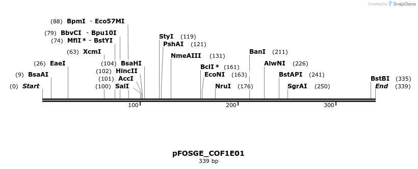 126719_map