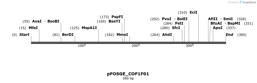 126720_map