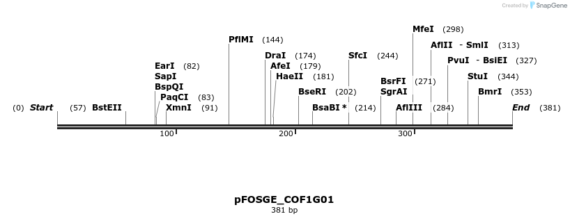 126721_map