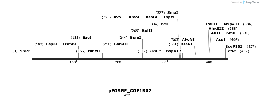 126724_map