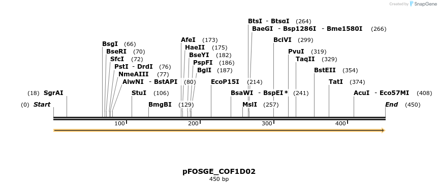 126726_map