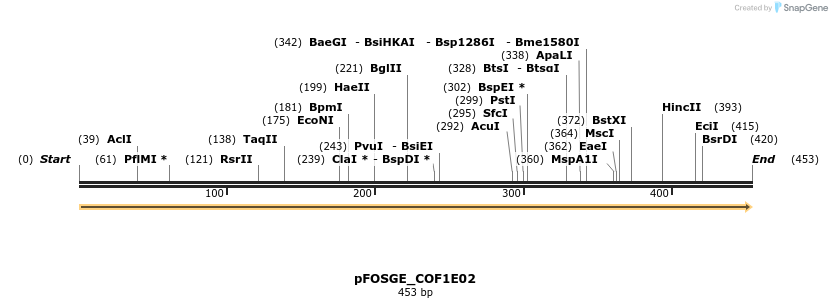 126727_map