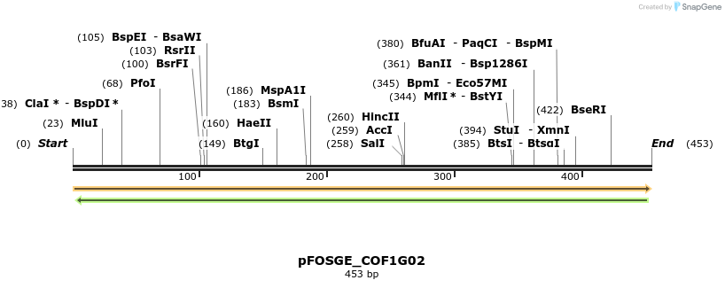 126729_map