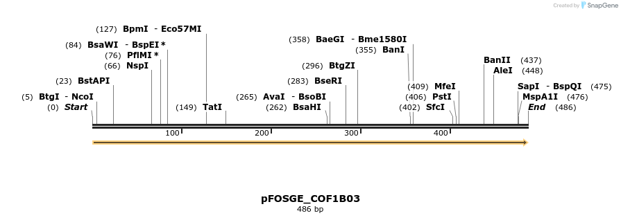 126731_map