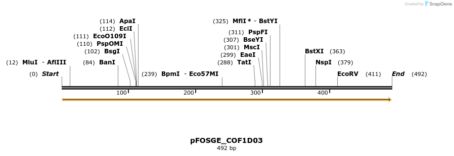 126733_map