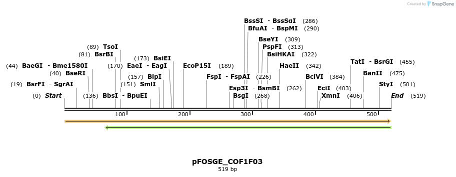 126735_map