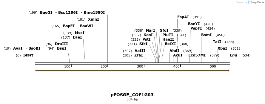 126736_map