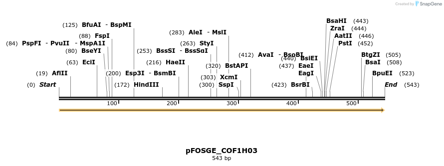 126737_map