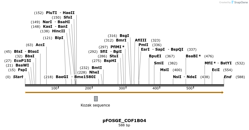 126739_map