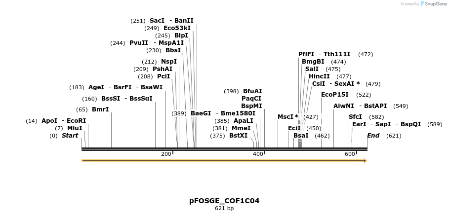 126740_map
